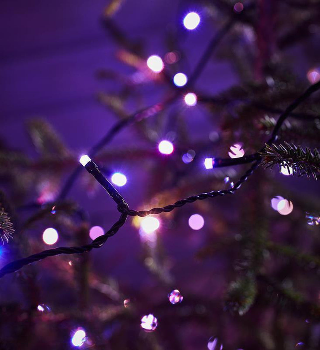Choice lysslynge utendørs 20 meter IP44 m/fjernkontroll - Flerfarget - Svart-Julebelysning juletrelys og slynger-Marksløjd-Svart-Mrk-705337-Lightup.no