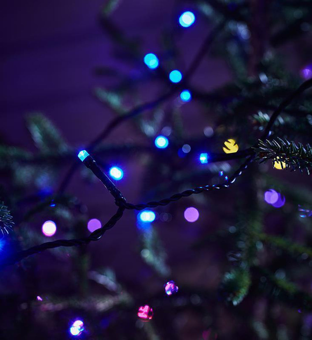Choice lysslynge utendørs 20 meter IP44 m/fjernkontroll - Flerfarget - Svart-Julebelysning juletrelys og slynger-Marksløjd-Svart-Mrk-705337-Lightup.no