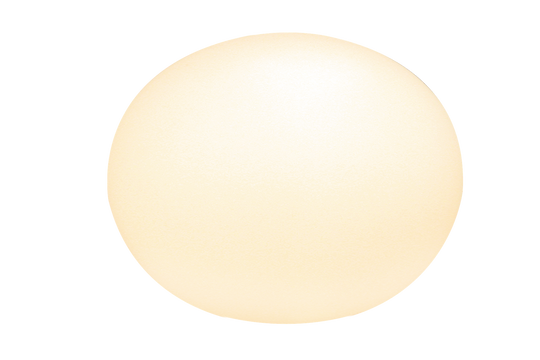 Globus bordlampe 24 cm-Bordlamper-Aneta Lighting-Hvit-18472-01-Lightup.no