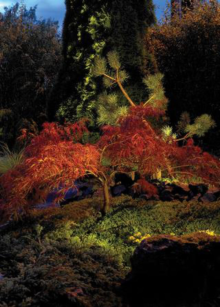 Rena 1551 uplight firkantet IP68 5,5W-Utebelysning uplight-Norlys-Stål/Klart glass-3185505-Lightup.no