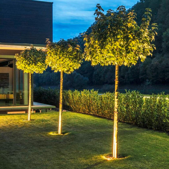 Rocci 200 rund nedfellbar uplight 16W 3000 Kelvin IP67-Utebelysning uplight-Slv-Rustfritt stål-slv-1006104-Lightup.no