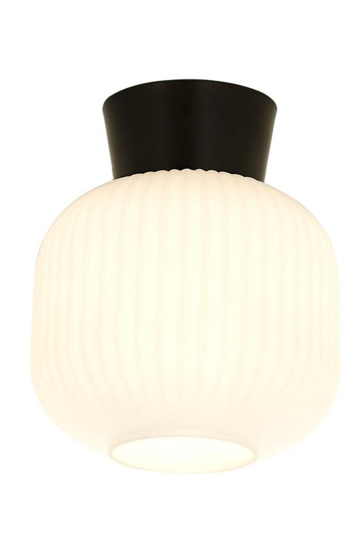 Vanja taklampe 20 cm-Taklamper-Aneta Lighting-Svart / Hvit-16912-15-01-Lightup.no