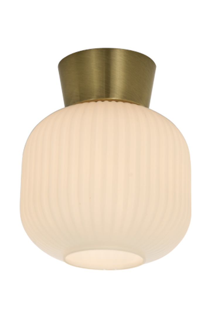 Vanja taklampe 20 cm-Taklamper-Aneta Lighting-Messing / Opal-16912-25-Lightup.no