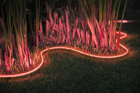 Philips Hue LED strip Outdoor 5 meter - White og farget stemning-Utebelysning Hagebelysning-Philips Hue-Hvit-929002289102-Lightup.no