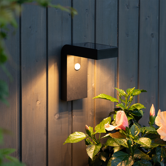 Vegglampe Solcelle med sensor - Svart-Utebelysning vegg opp og ned-Star Trading-Svart-481-12-Lightup.no