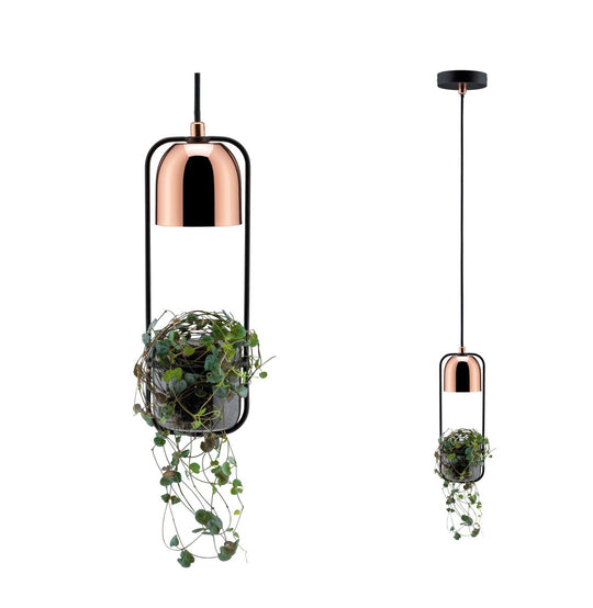 Fanja takpendel-Takpendler-Paulmann-Svart / Kobber-PL-79749-Lightup.no