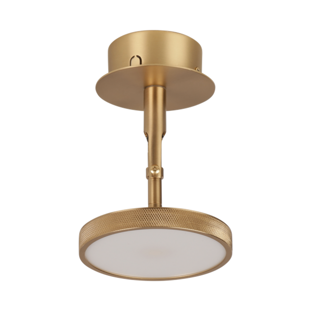 Asteria Spot for vegg og tak-Taklamper-Umage-Messing-2496-Lightup.no