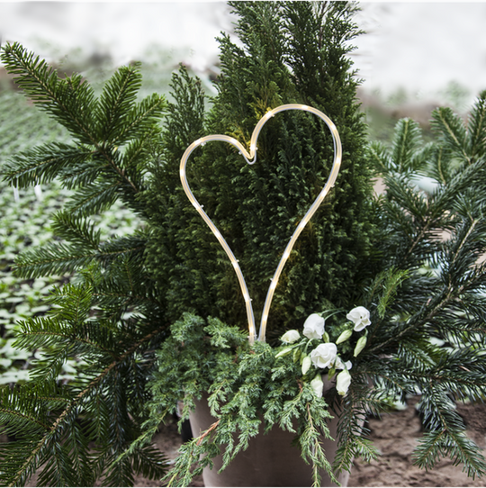 Dekorasjonshjerte utendørs IP44 - Batteridrevet-Utebelysning Hagebelysning-Star Trading-Hvit-857-11-Lightup.no