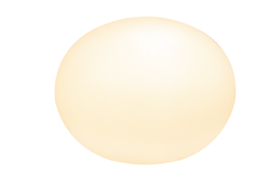 Globus bordlampe 24 cm-Bordlamper-Aneta Lighting-Hvit-18472-01-Lightup.no