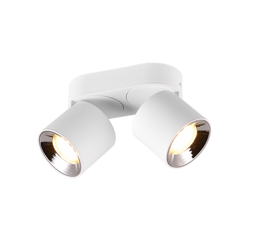 Guayana takspot 2-lys GU10 - Kan felles inn i tak-Taklamper-Trio Lighting-Svart-trl__651000232-Lightup.no