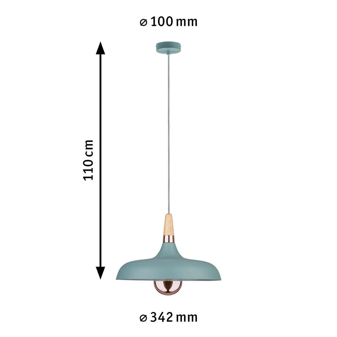 Juna takpendel 34 cm-Takpendler-Paulmann-Svart / Champagne-PL-78481-Lightup.no