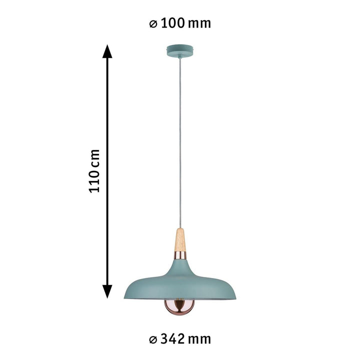 Juna takpendel 34 cm-Takpendler-Paulmann-Svart / Champagne-PL-78481-Lightup.no