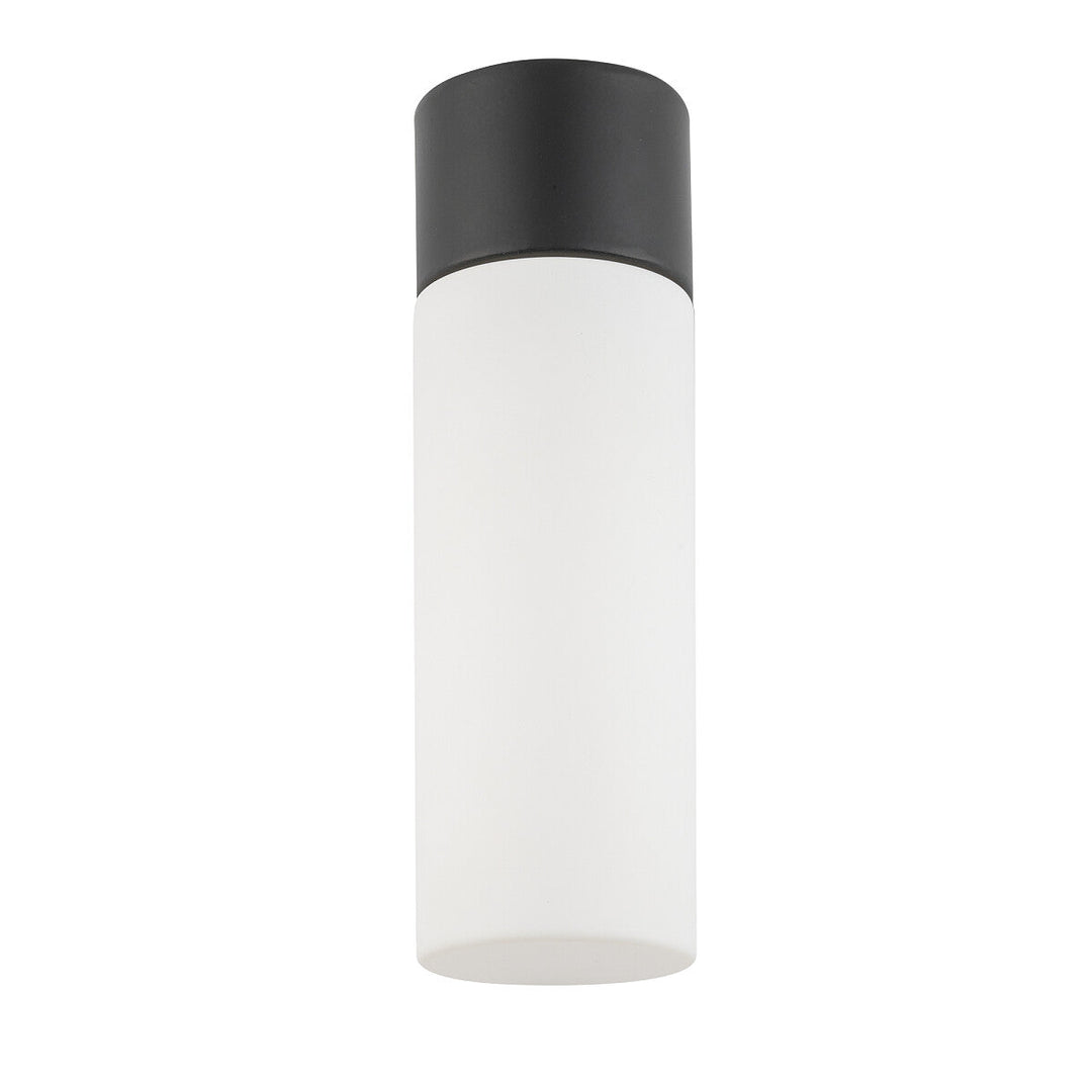 Natalie vegglampe enkel IP44-Baderomsbelysning vegglamper-Nowodvorski-Opal/Svart-N-10725-Lightup.no