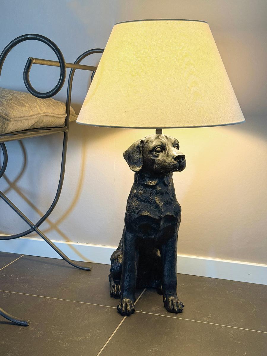 Retriver bordlampe-Bordlamper-Aneta Lighting-Svart / Hvit-28090-15-00-Lightup.no