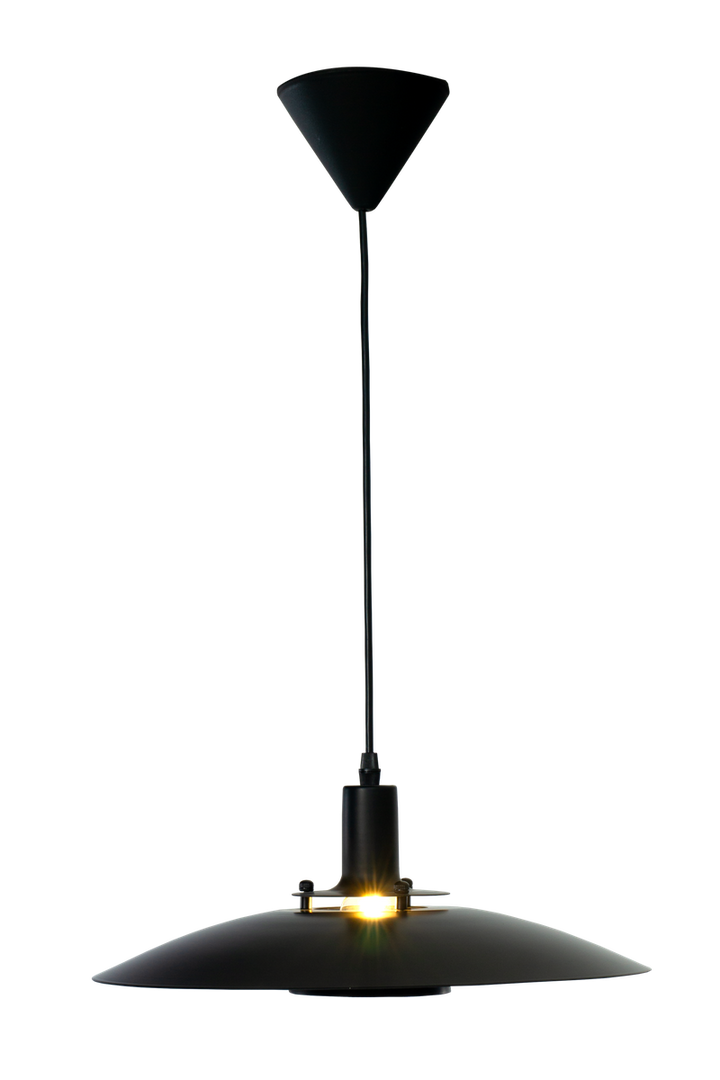 Zora takpendel Ø38-Takpendler-Aneta Lighting-Svart-25122-15-Lightup.no