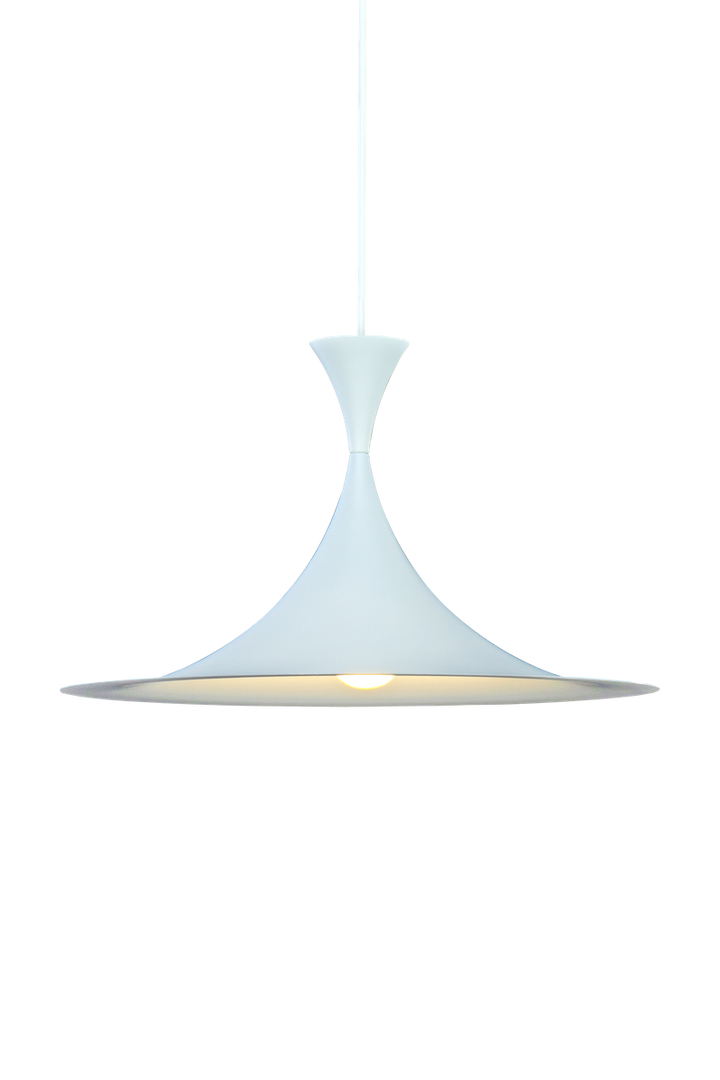 Antares takpendel Ø47-Takpendler-Aneta Lighting-Hvit-25123-01-Lightup.no