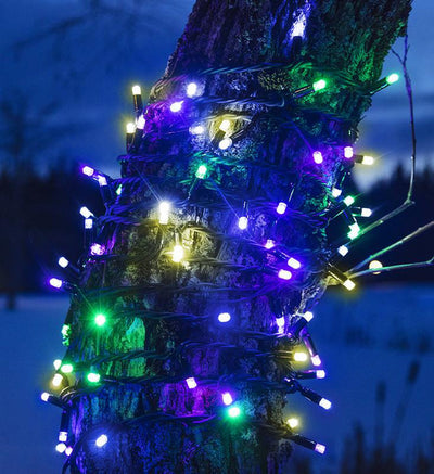 Chrissline lysslynge 50 lys 5 meter extra - Multifarget-Julebelysning juletrelys ute-Marksløjd-704803-Lightup.no