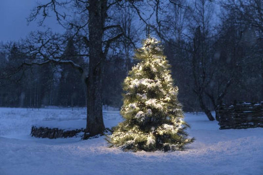 Cluster lysslynge 576 LED utendørs IP44 multifunksjon - Varmhvit-Julebelysning juletrelys ute-Konstsmide-3861-100-Lightup.no