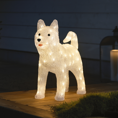Hund i akryl - 43 cm-Julebelysning dekor og pynt ute-Konstsmide-6244-103-Lightup.no