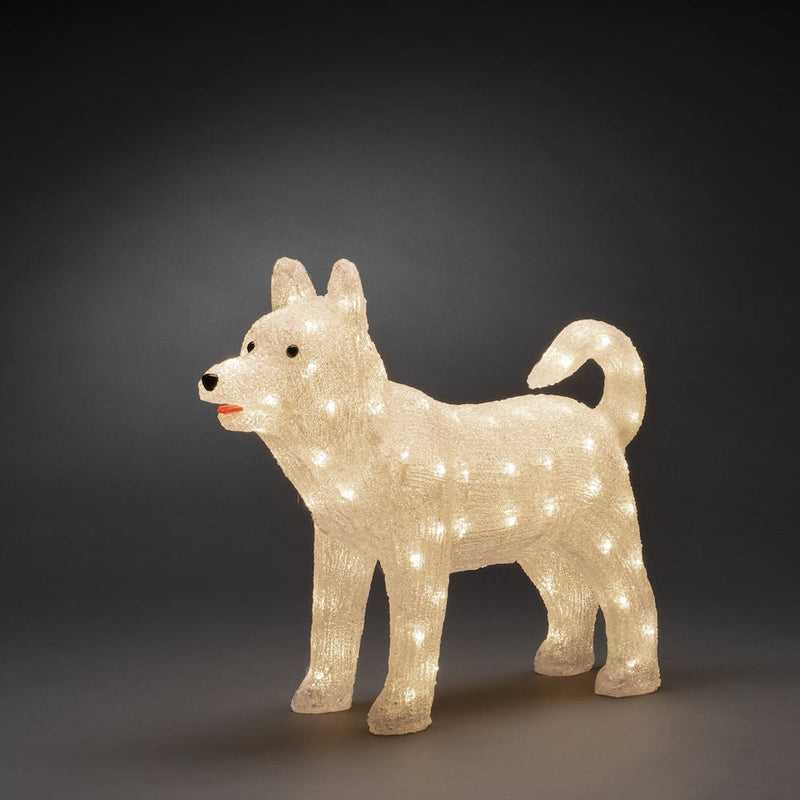 Hund i akryl - 43 cm-Julebelysning dekor og pynt ute-Konstsmide-6244-103-Lightup.no