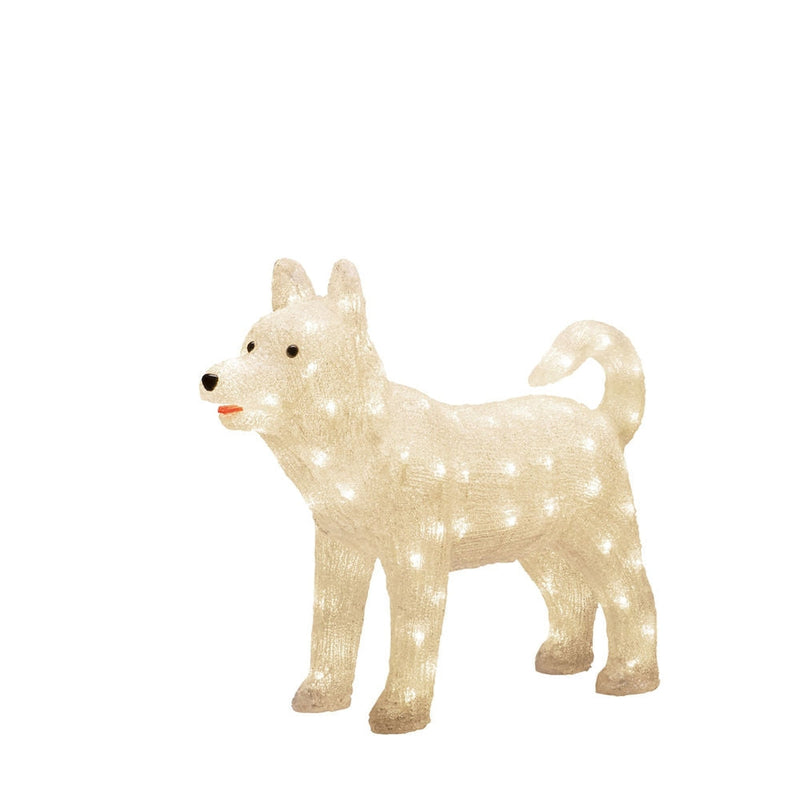 Hund i akryl - 43 cm-Julebelysning dekor og pynt ute-Konstsmide-6244-103-Lightup.no
