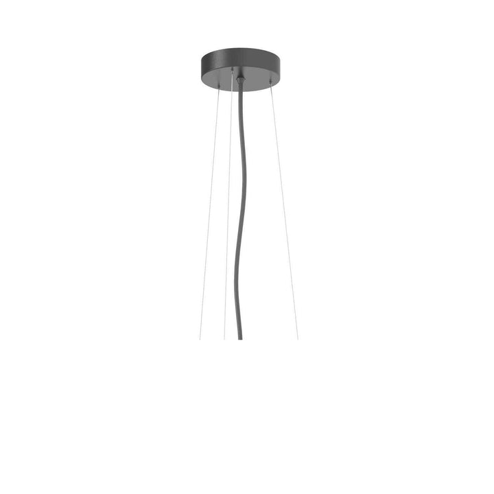Lucia kabel/wire oppheng - Svart-Takpendler-LOOM Design-Svart-LF-805-018-Lightup.no
