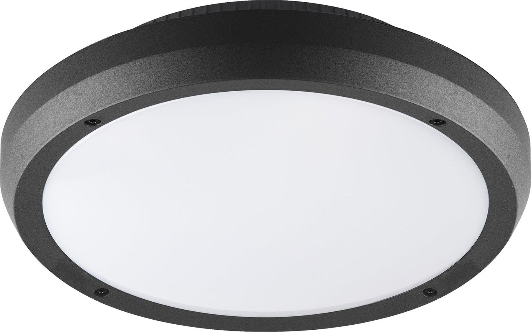 Luno taklampe 30 cm utendørs IP65 E27 - Grafitt grå – Lightup.no