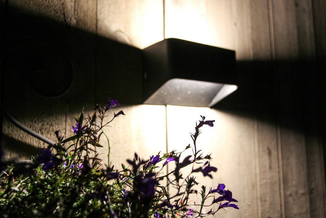 Søgne xl vegglampe opp/ned utendørs IP54 18W 3000K - Svart-Utebelysning vegg opp og ned-Aneta Lighting-Svart-AP-3102553-Lightup.no