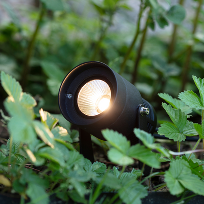 Spot 3w - Garden 24-Utebelysning Garden 24-Marksløjd-106929-Lightup.no