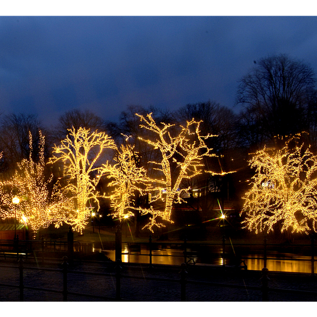 System led 1x2 gardin 102 lys varmhvit ekstraenhet - Svart-System LED utendørs julebelysning-Star Trading-465-56-Lightup.no