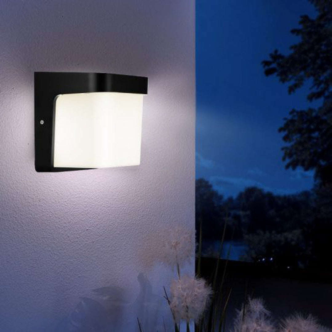 Valor vegglampe utendørs IP65 - Grafitt grå/Opal-Utebelysning vegg veggskjold-NorDesign-Grafitt / Opal-401703120-Lightup.no