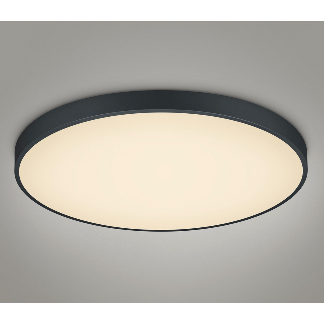 Waco taklampe - Svart-Taklamper-Trio Lighting-Svart-Trl__627417532-Lightup.no