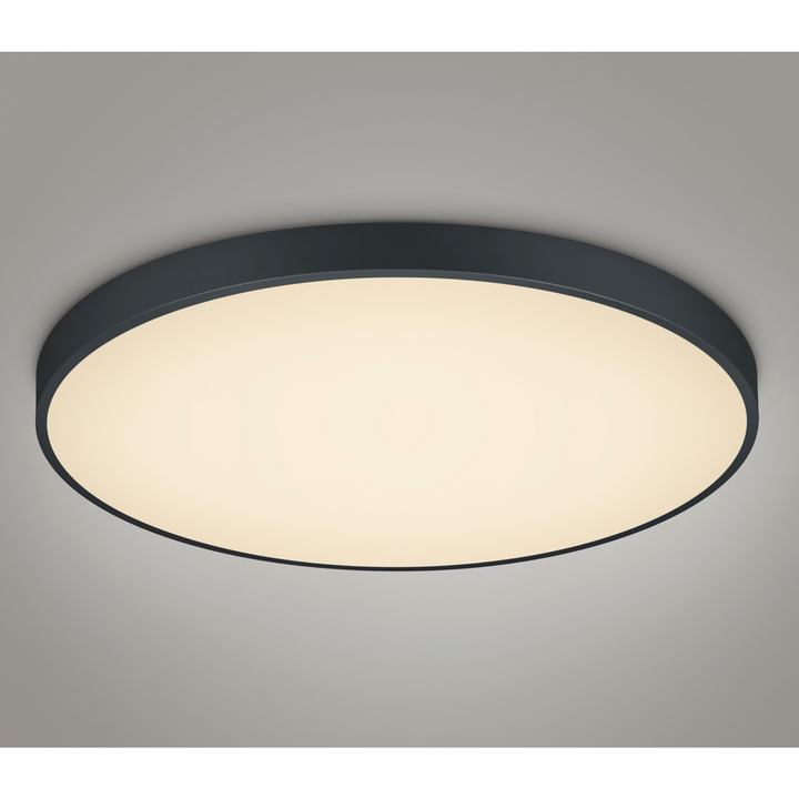 Waco taklampe - Svart-Taklamper-Trio Lighting-Svart-Trl__627417532-Lightup.no